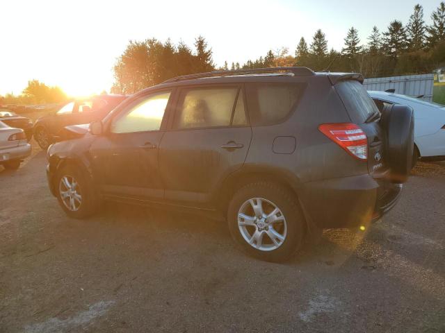 2011 TOYOTA RAV4 - 2T3BF4DV0BW127432