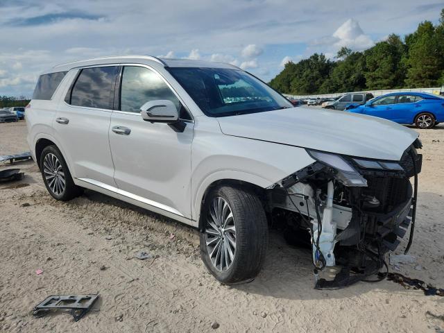 2023 HYUNDAI PALISADE C #3302710041