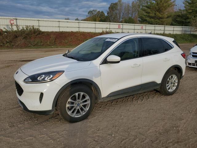 Global Auto Auctions: 2020 FORD ESCAPE SE