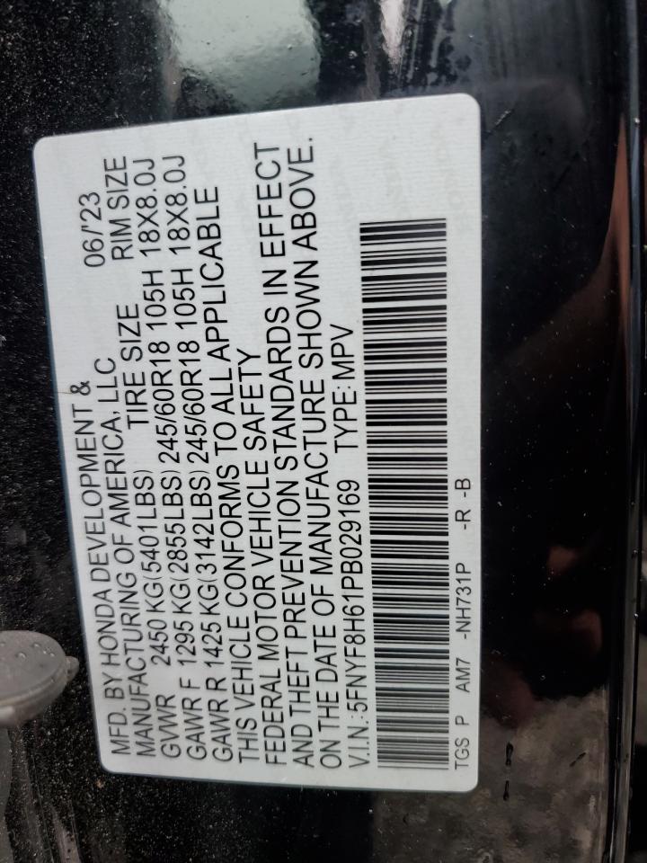 HONDA PASSPORT TRAIL SPORT