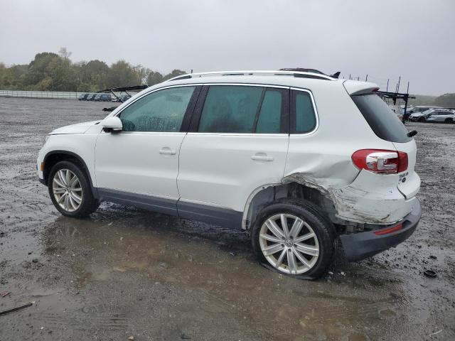 2016 VOLKSWAGEN TIGUAN S WVGBV7AX4GW587627