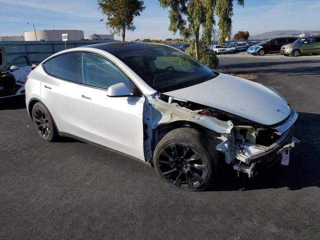 2023 TESLA MODEL Y - 7SAYGDEE6PF676283