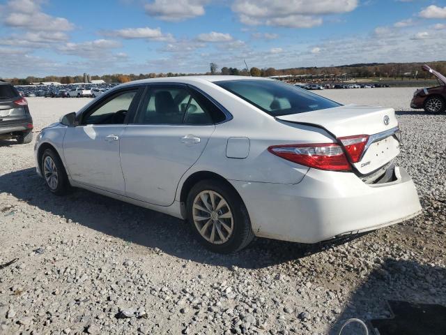 2016 TOYOTA CAMRY LE - 4T4BF1FKXGR544063
