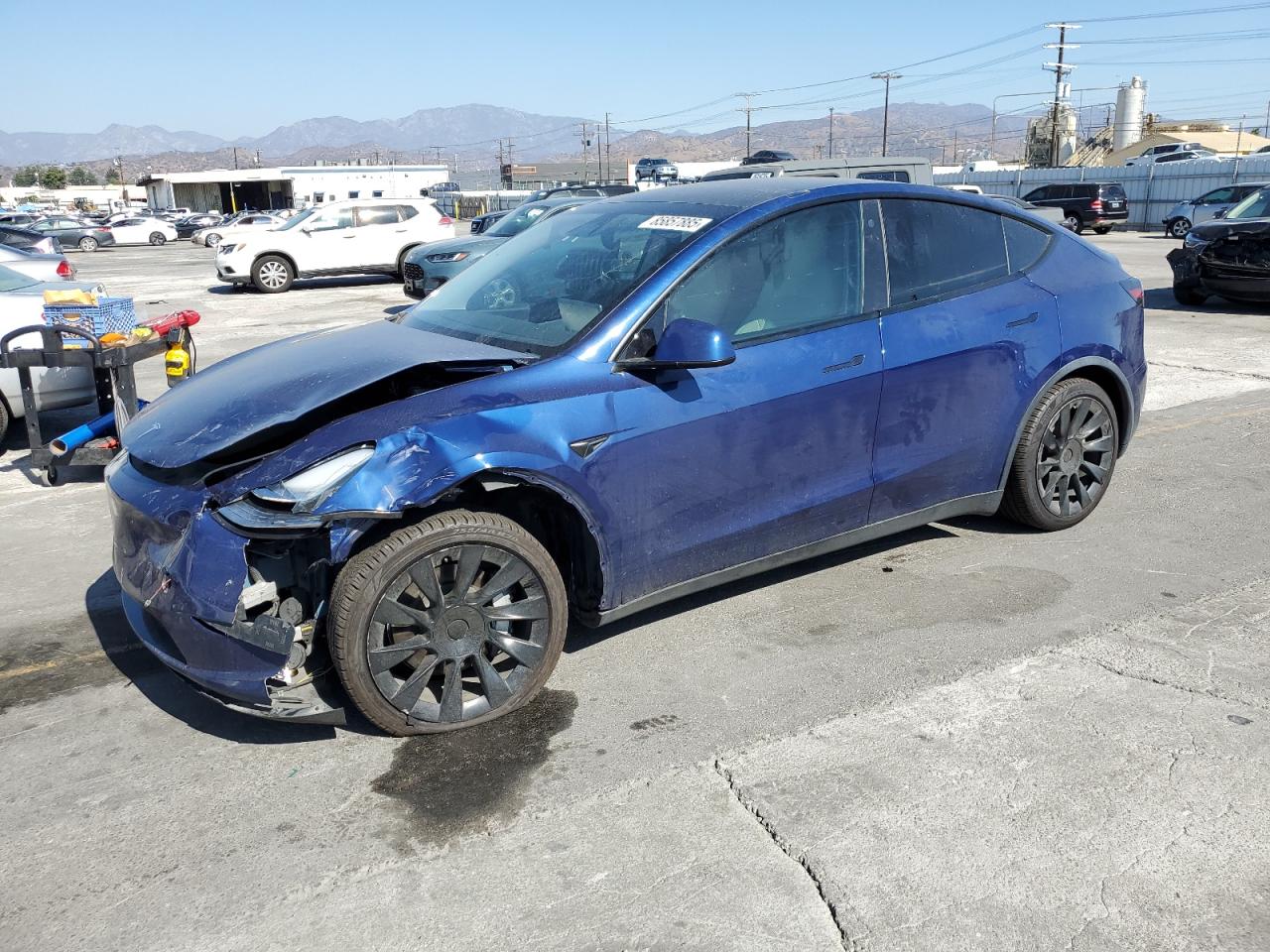 TESLA MODEL Y