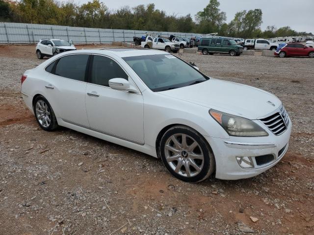 2013 HYUNDAI EQUUS SIGN - KMHGH4JH6DU058028