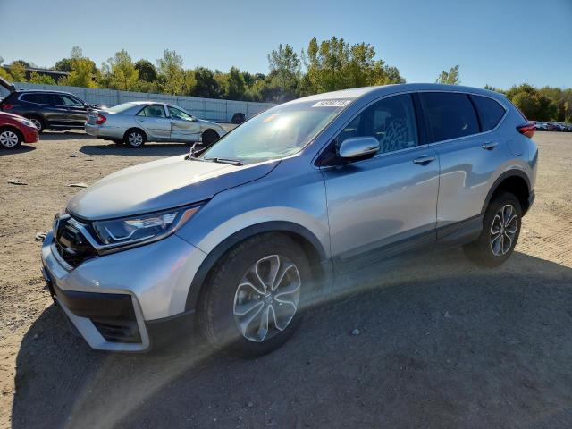 Global Auto Auctions: 2020 HONDA CR-V EX
