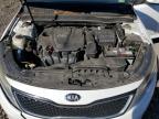 Lot #3315730343 2014 KIA OPTIMA EX