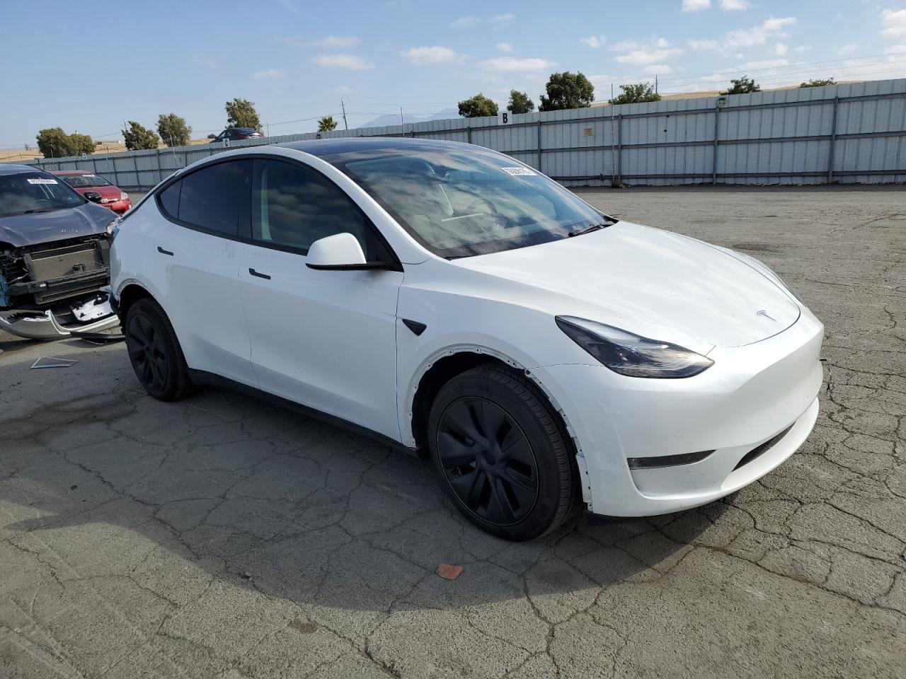 Lot #3302835912 2024 TESLA MODEL Y
