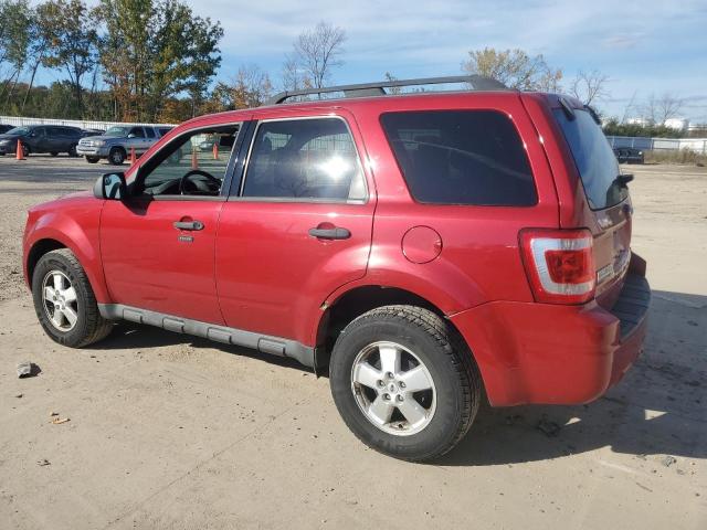 2010 FORD ESCAPE XLT - 1FMCU9D71AKA34737