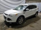 Lot #3316806398 2014 FORD ESCAPE TIT
