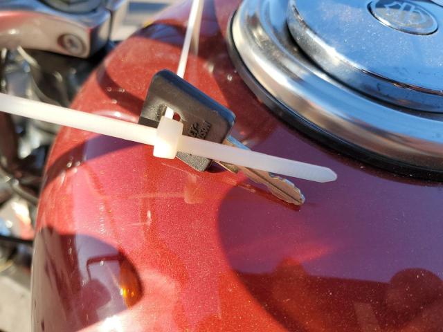 2009 HARLEY-DAVIDSON XL1200 C - 1HD1CT3179K430433