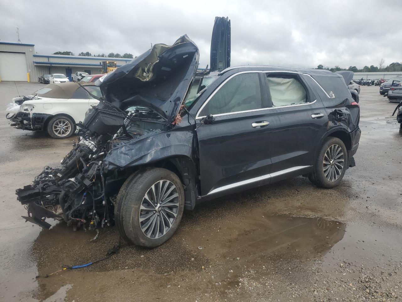 HYUNDAI PALISADE CALLIGRAPHY