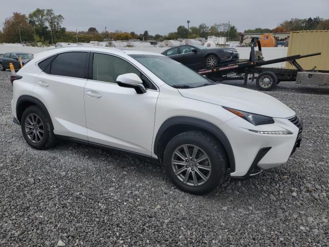 2019 LEXUS NX 300 BAS - JTJBARBZ4K2215620
