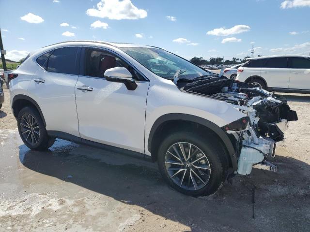 2025 LEXUS NX 250 PRE 2T2GDCAZ7SC026066