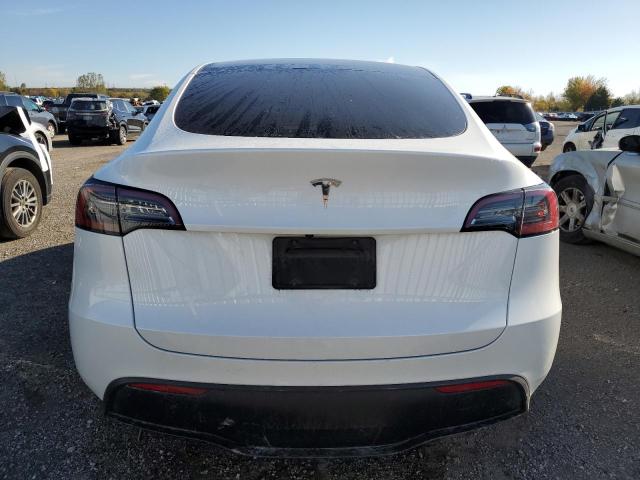 2023 TESLA MODEL Y - LRWYGDFD2PC967392