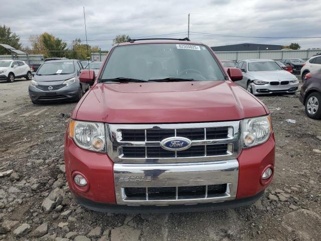 2011 FORD ESCAPE LIM - 1FMCU0E71BKC28700