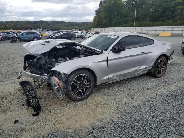 Global Auto Auctions: 2019 FORD MUSTANG