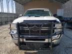 Lot #3305430431 2014 CHEVROLET SILVERADO