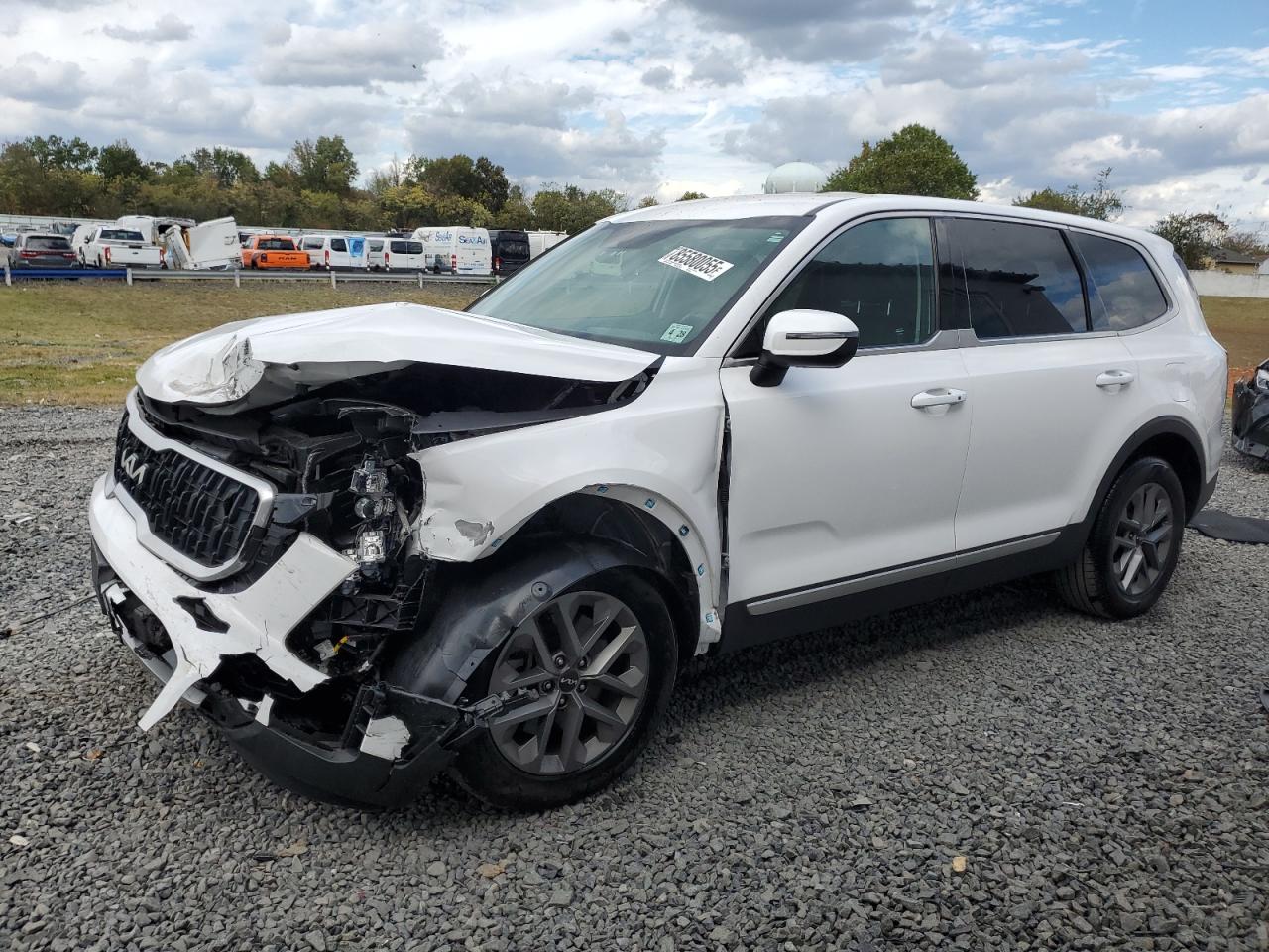 Lot #3265218985 2023 KIA TELLURIDE