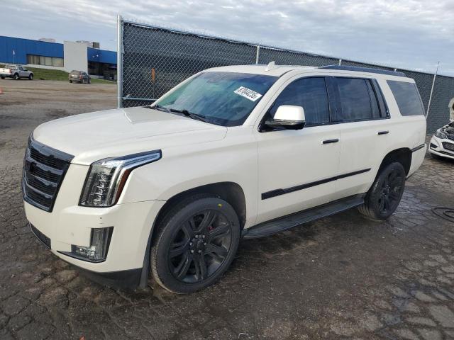 2015 CADILLAC ESCALADE LUXURY 1GYS4MKJ4FR689016