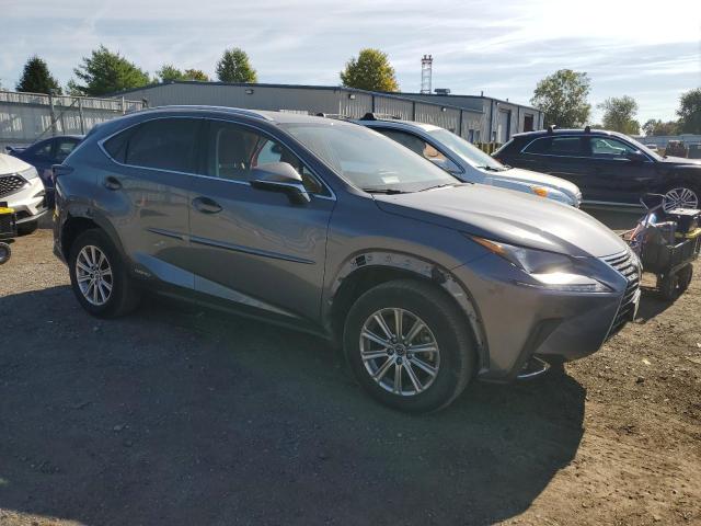 2021 LEXUS NX 300H BA JTJDJRDZXM2162365