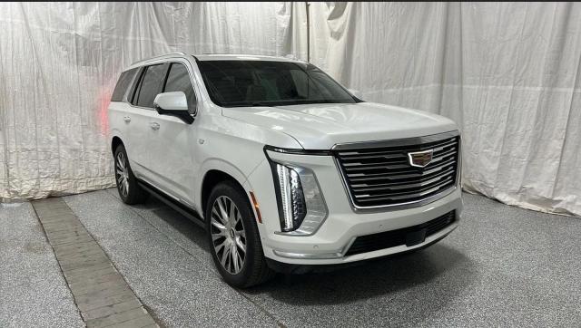 CADILLAC ESCALADE P