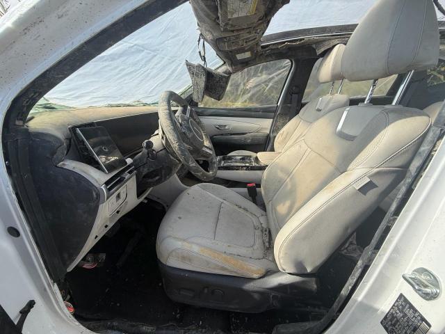 2025 HYUNDAI TUCSON SEL - KM8JCDD16SU287194