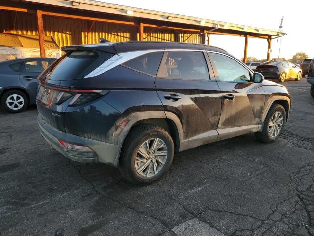2023 HYUNDAI TUCSON BLU KM8JBCA18PU109425