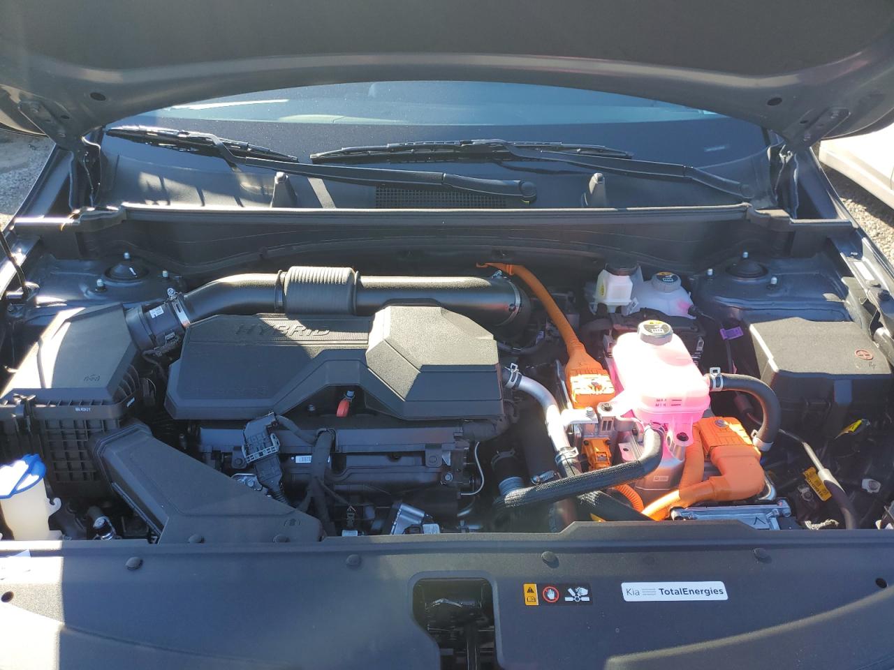 Lot #3318924952 2025 KIA SPORTAGE E