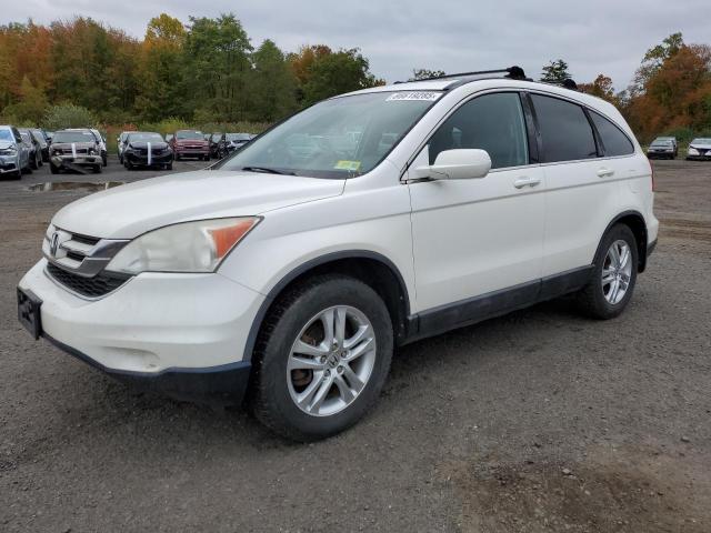 Global Auto Auctions: 2010 HONDA CR-V EXL