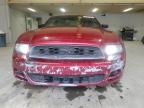 Lot #3310413953 2014 FORD MUSTANG