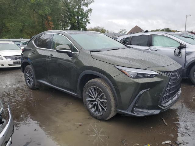 2024 LEXUS NX 350 PRE #3296894813