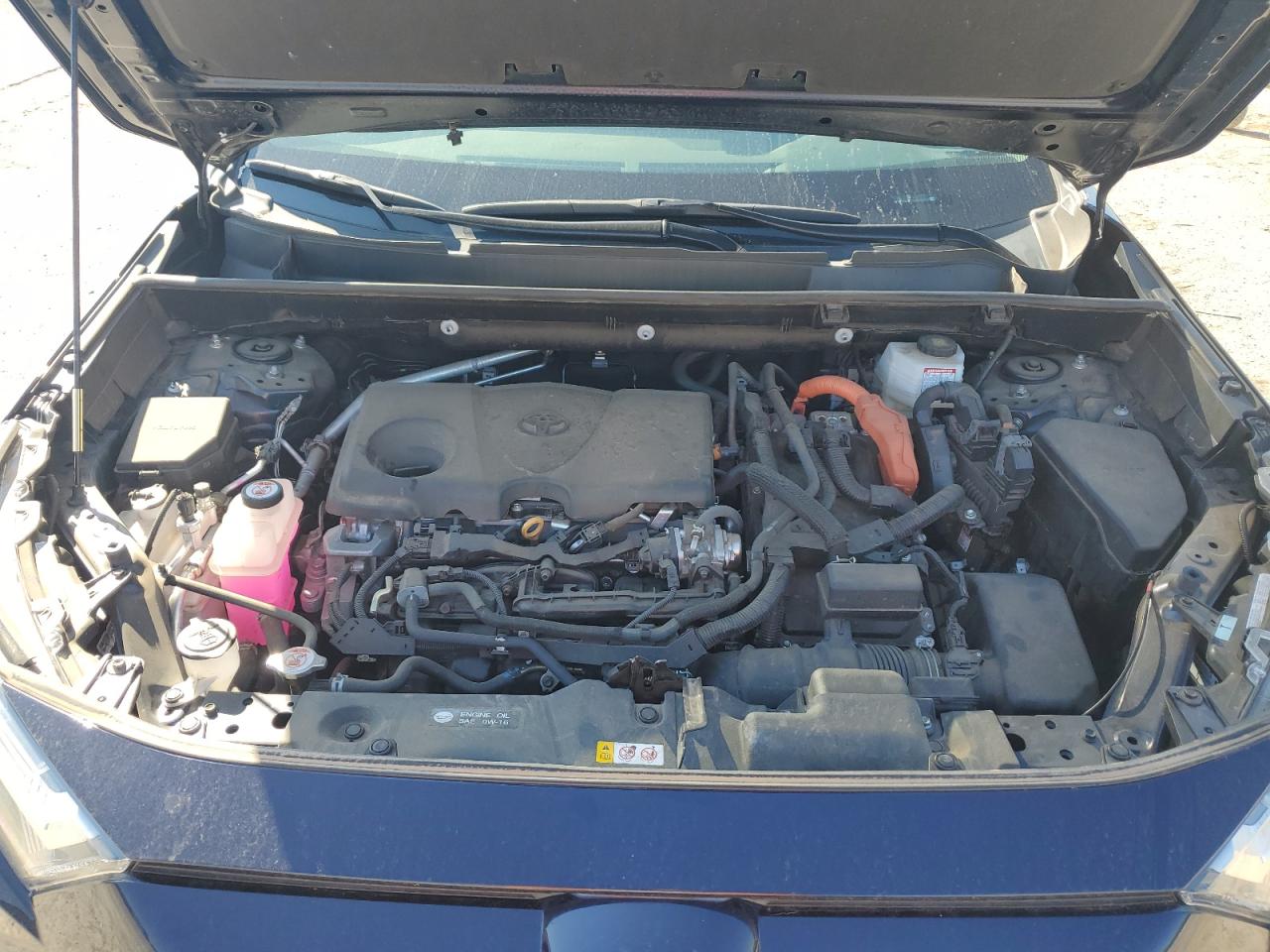 Lot #3308532492 2024 TOYOTA RAV4 XLE P