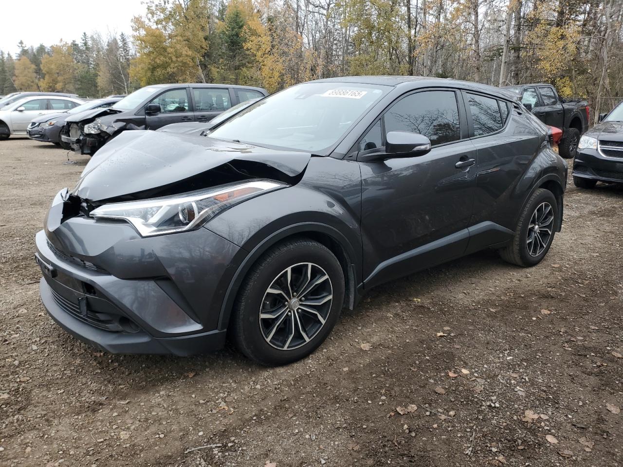 TOYOTA C-HR XLE