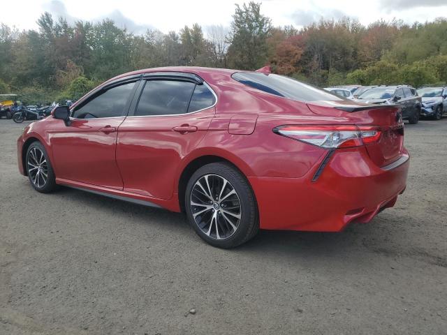 2019 TOYOTA CAMRY L - 4T1B11HK3KU277119