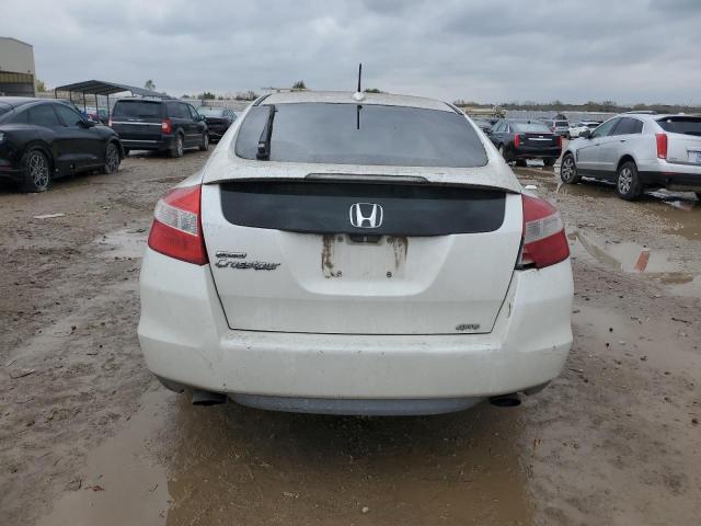 2010 HONDA ACCORD CRO - 5J6TF2H51AL013177