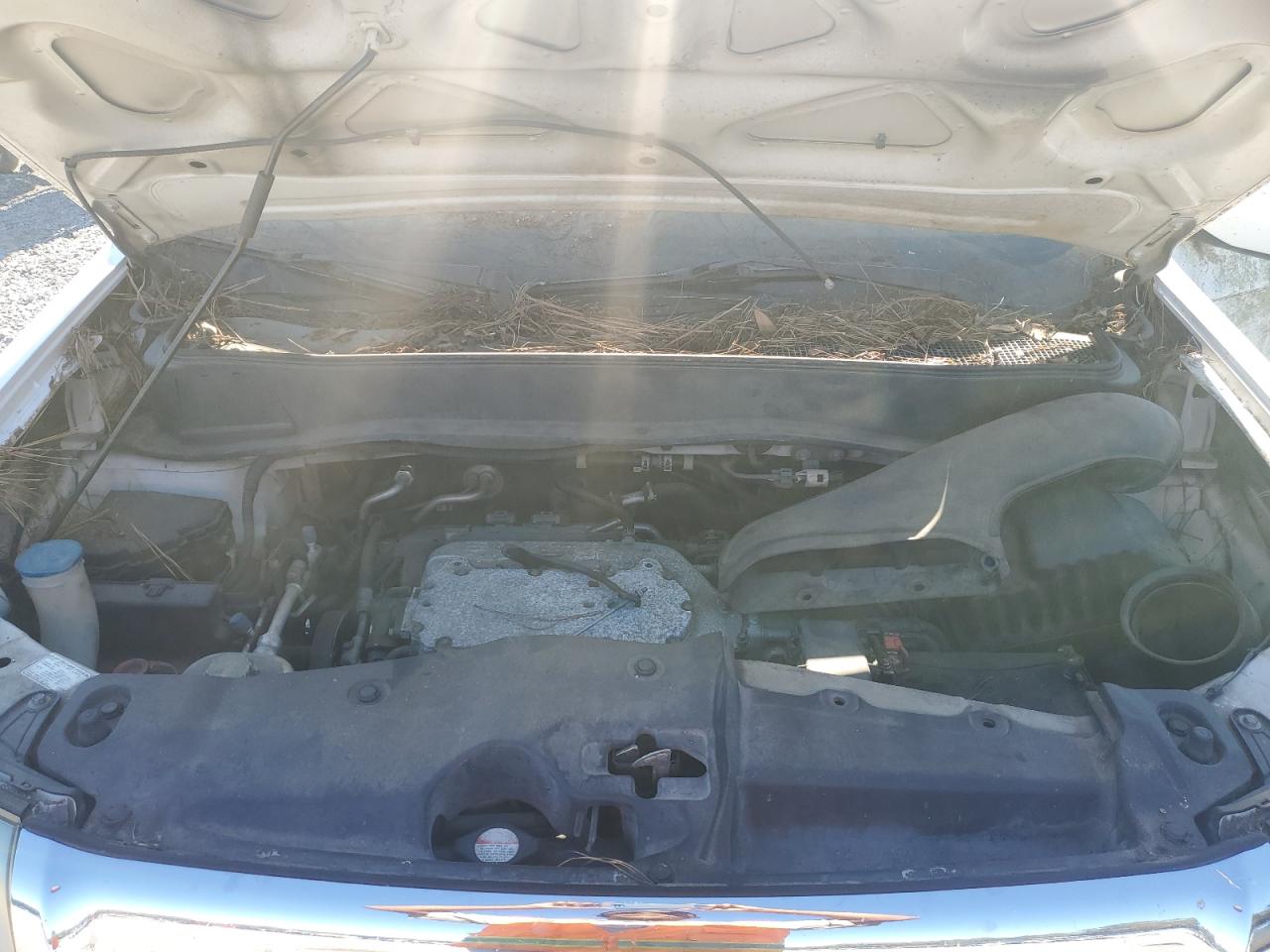 Lot #3280404300 2009 HONDA PILOT EXL