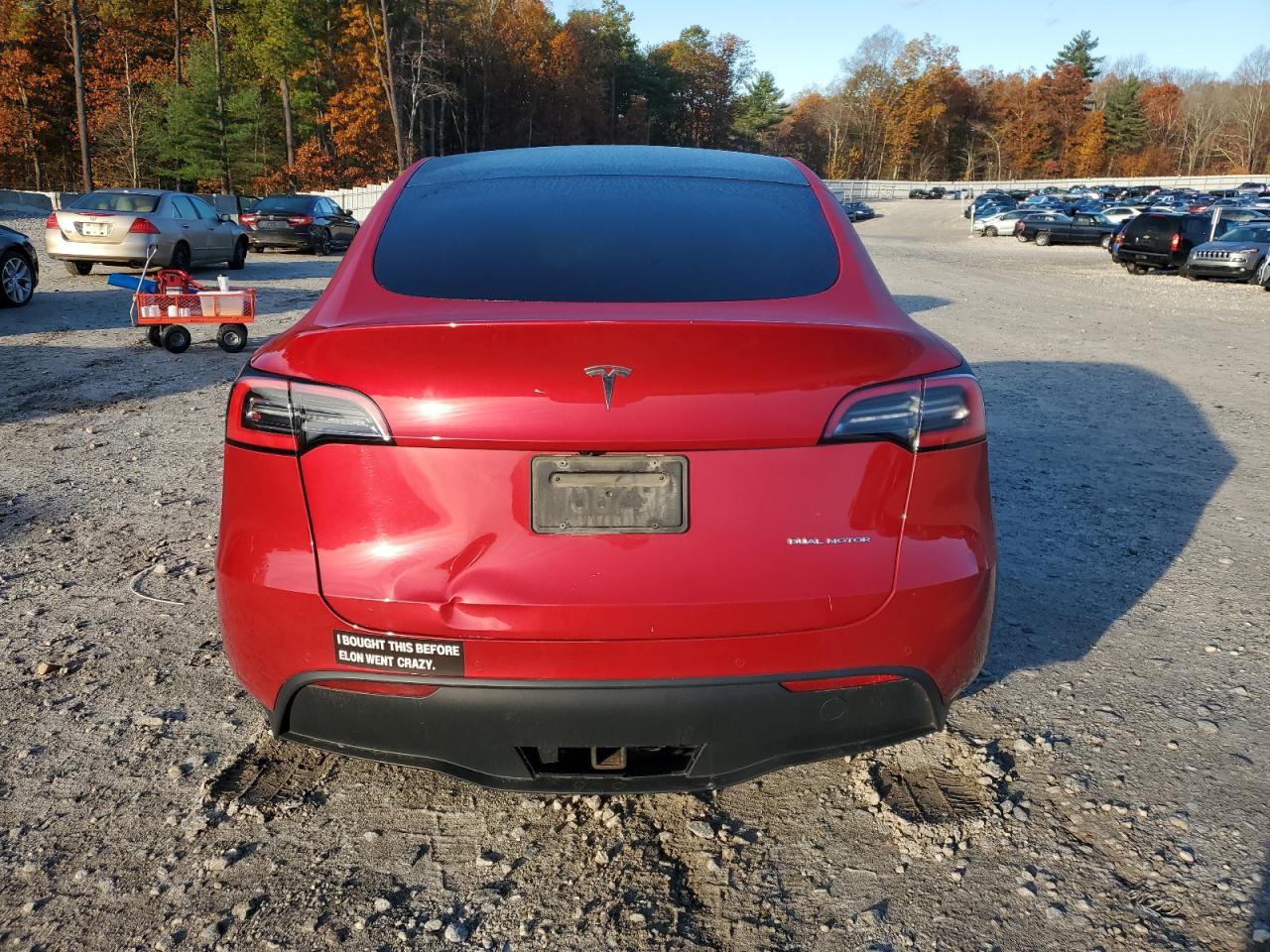 TESLA MODEL Y