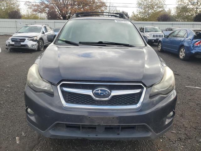 2013 SUBARU XV CROSSTR - JF2GPACC9DH808572