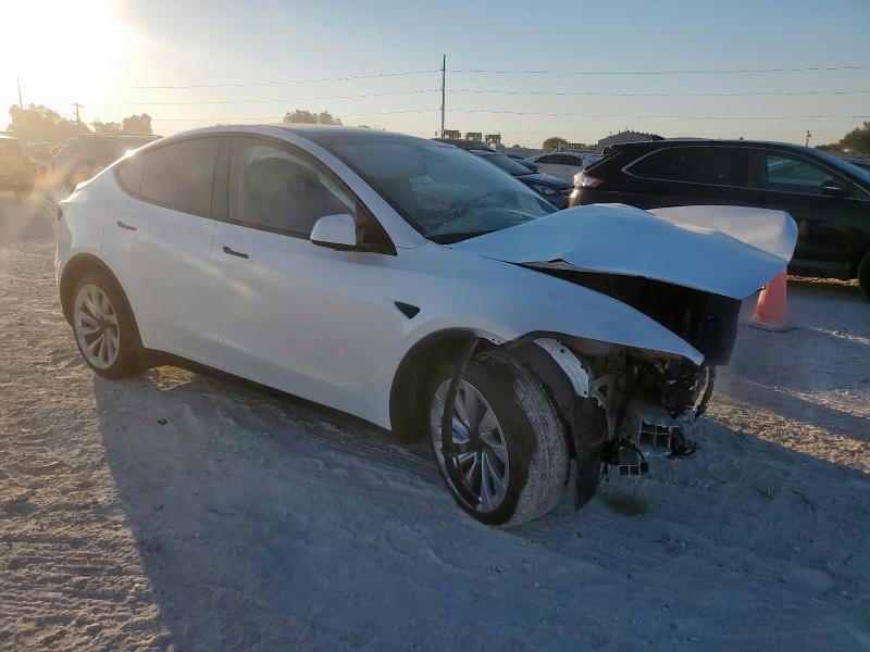 2026 TESLA MODEL Y #3305761763