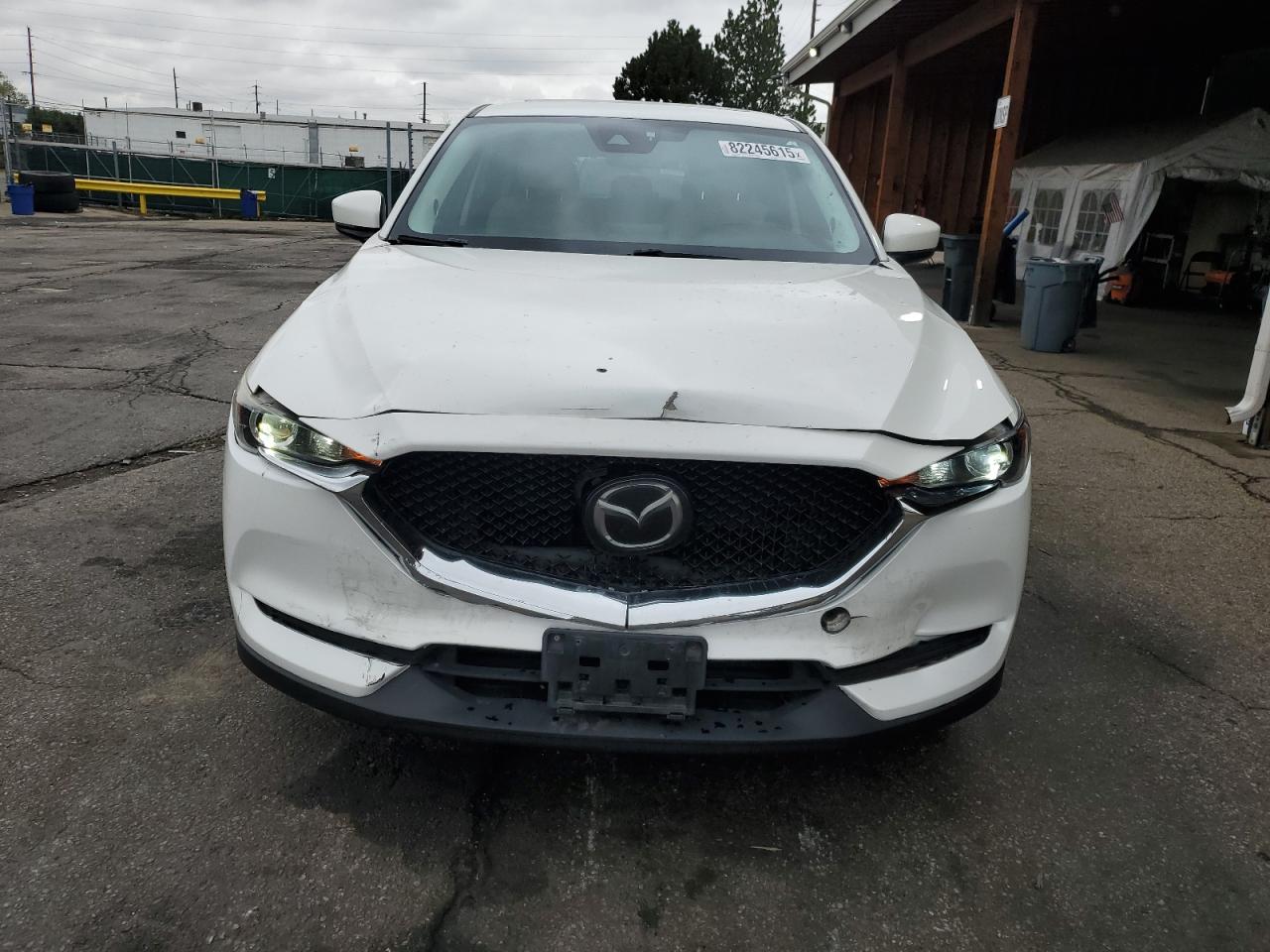 Global Auto Auctions