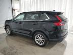 Lot #3304523483 2024 HONDA CR-V EX
