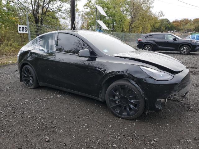 2023 TESLA MODEL Y #3279498321