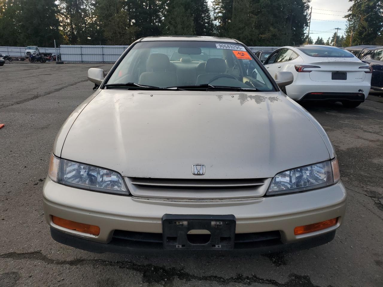 Lot #3285561285 1995 HONDA ACCORD EX