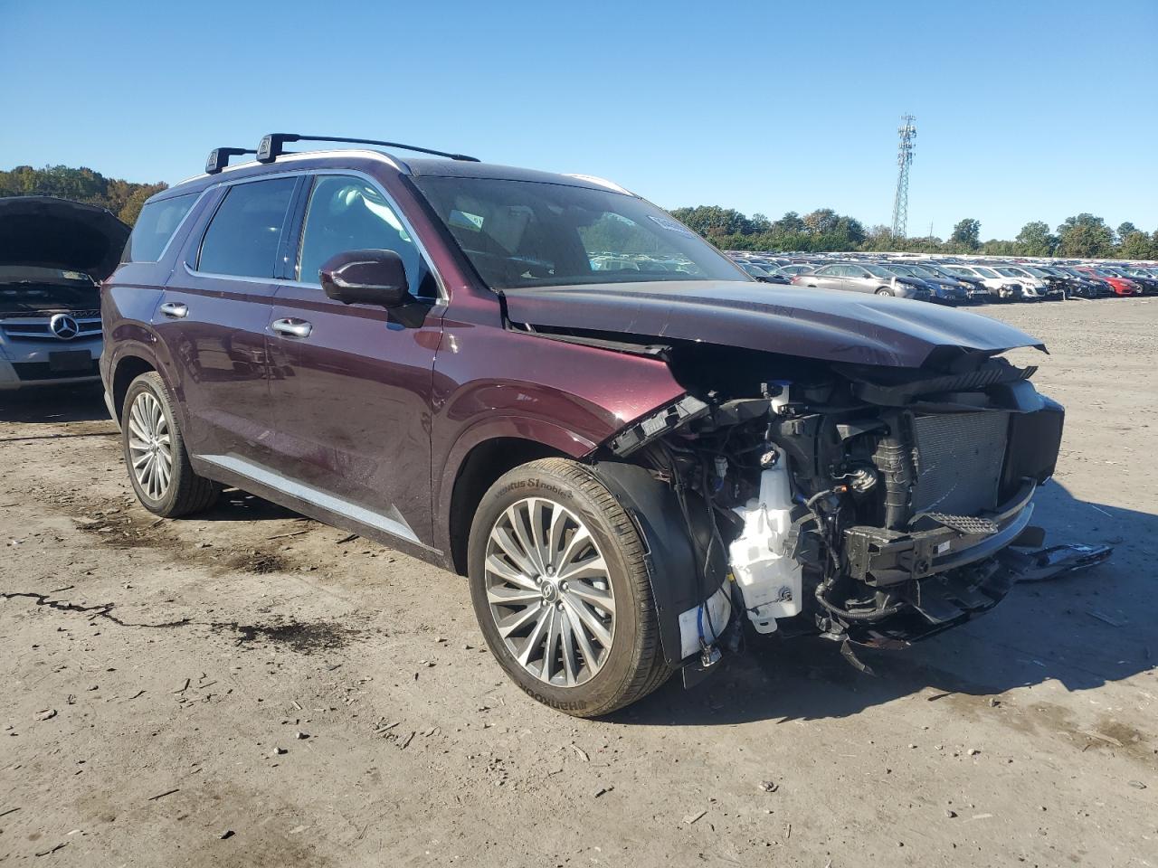 HYUNDAI PALISADE CALLIGRAPHY