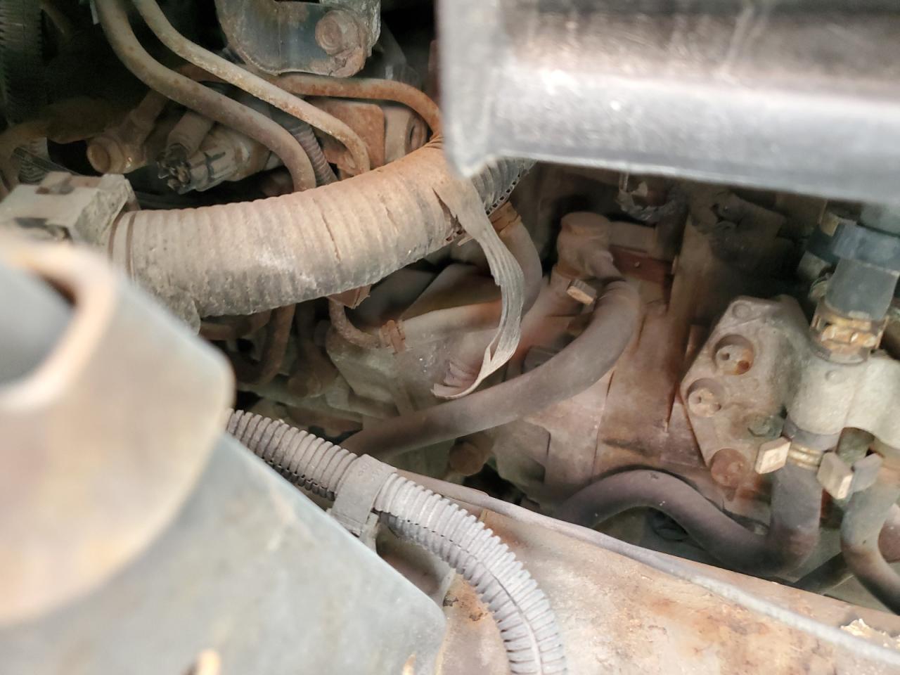 Lot #3311465273 2009 ISUZU NPR