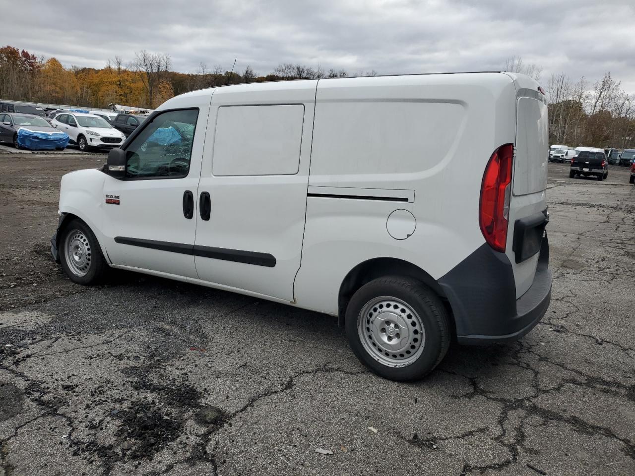 RAM PROMASTER