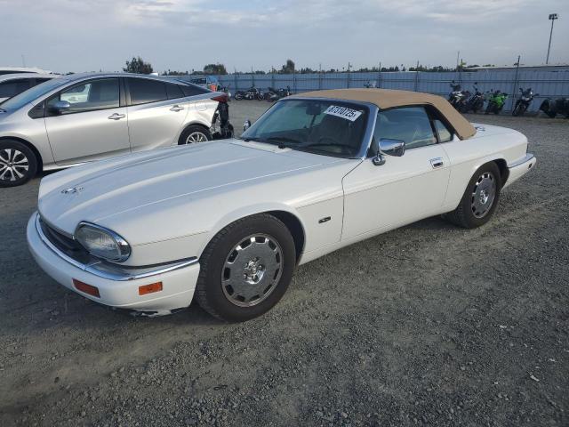 JAGUAR XJS 2+2