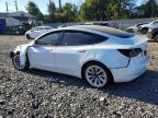 Lot #3296327498 2022 TESLA MODEL 3