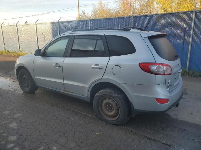 2010 HYUNDAI SANTA FE S - 5NMSHDAG0AH354753